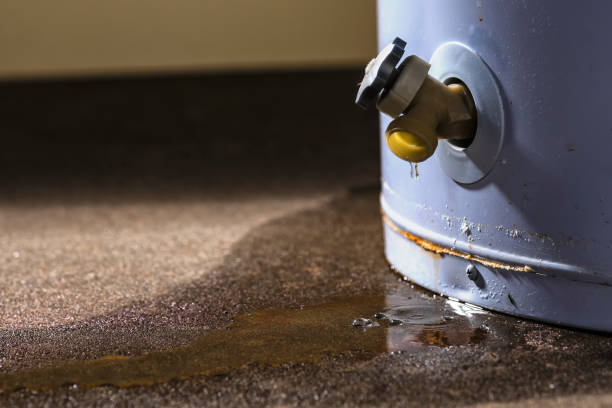 Best 24/7 water damage repair  in Westfield Center, OH