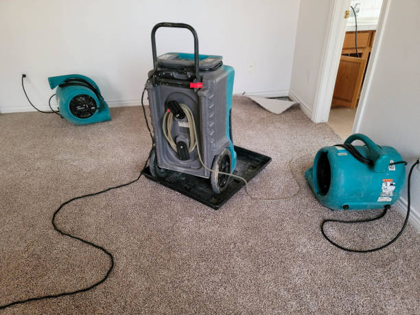 Best Basement water damage restoration  in Westfield Center, OH
