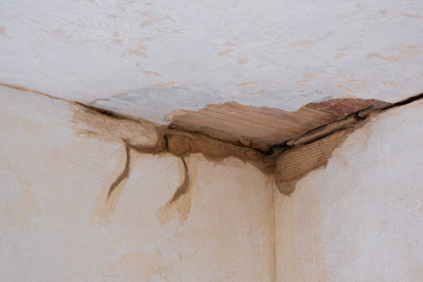 Best 24/7 water damage repair  in Westfield Center, OH
