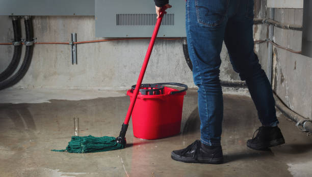 Best Mold removal after water damage  in Westfield Center, OH