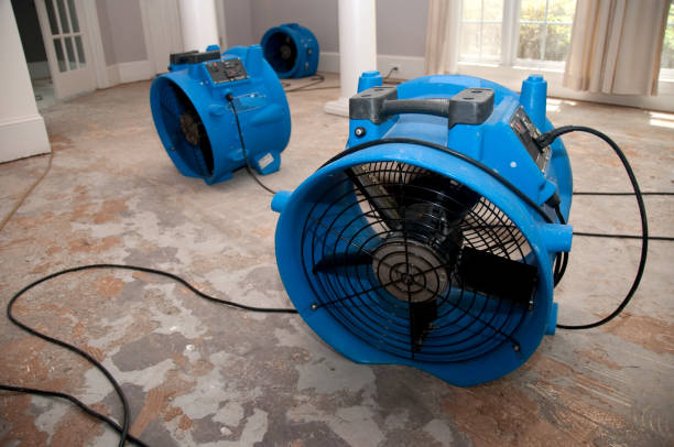 Best Ceiling water damage repair  in Westfield Center, OH