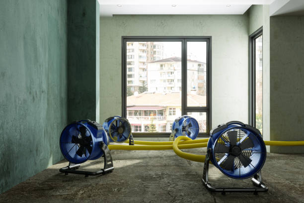 Best Water damage restoration near me  in Westfield Center, OH